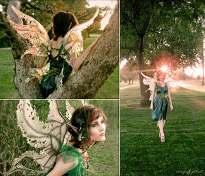 Weeping Willow Tree Fairy