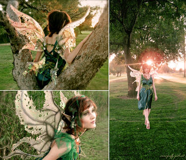 Weeping Willow Tree Fairy