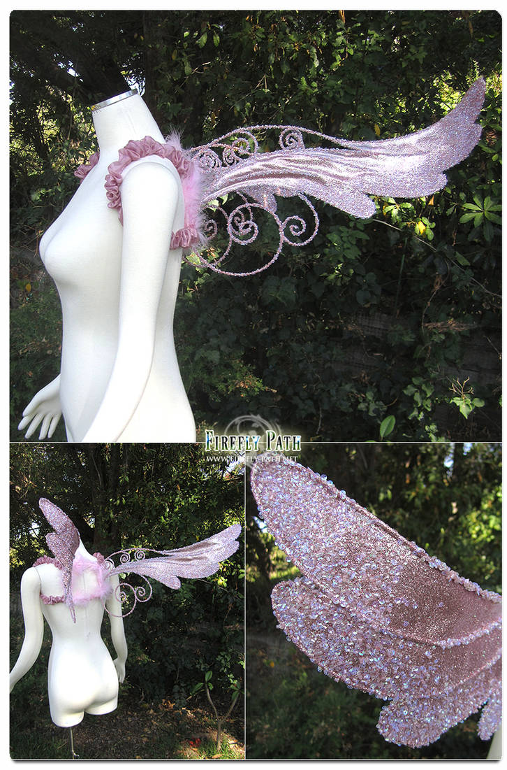 Rose Dove Wings by Firefly-Path