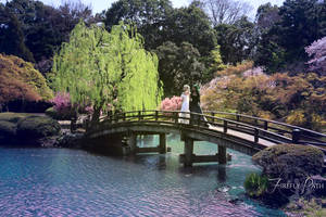 Moon Bridge