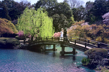 Moon Bridge