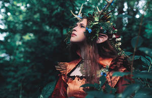 The Forest in Her Eyes
