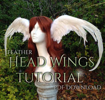 Head Wings Tutorial