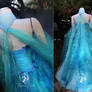 Water Faerie Back View