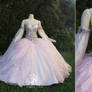 Champagne Pink Princess Gown