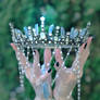 Mary's Crown