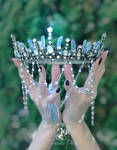 Mary's Crown