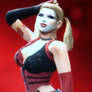 WWE 2k14 Harley Quinn