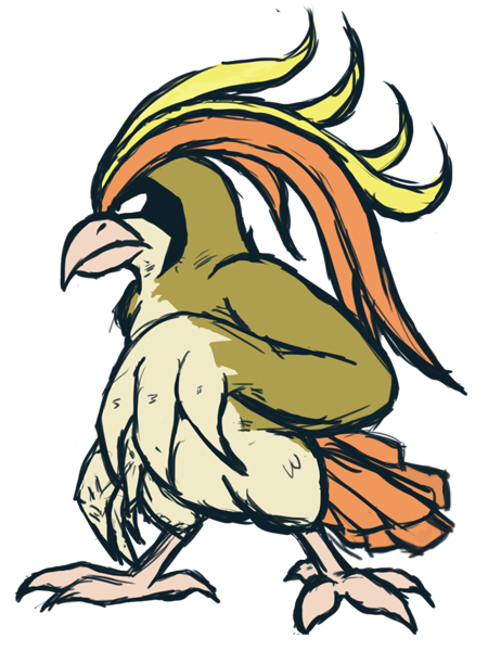 pidgeot practice