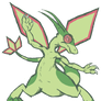 flygon practice