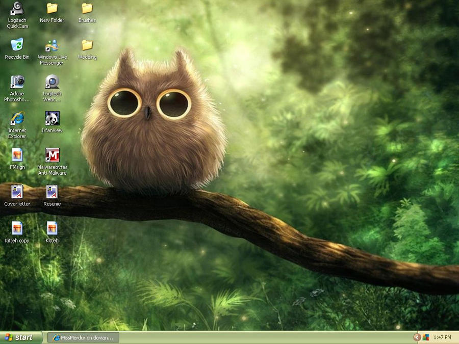 OwlDesktop