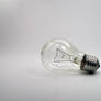 light Bulb