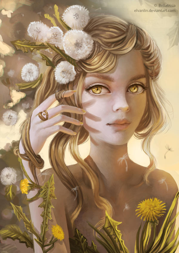 Flowers: Dandelion