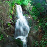 Rio Jerte