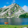 Lagos de covadonga