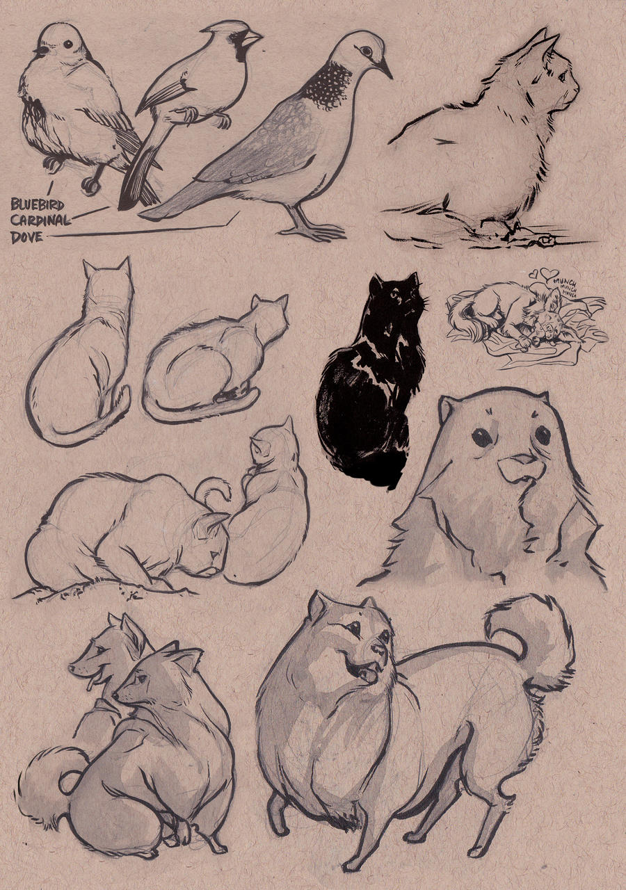 Sketchdump: Pets