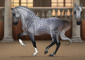 Barroco Import | CLOSED