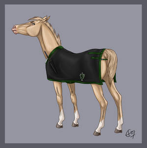 HP Ponies : Draco Malfoy