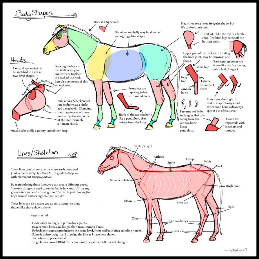 Horses as Shapes