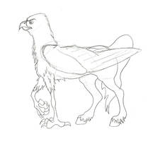 Hippogriff Sketch 02