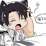 neko levi