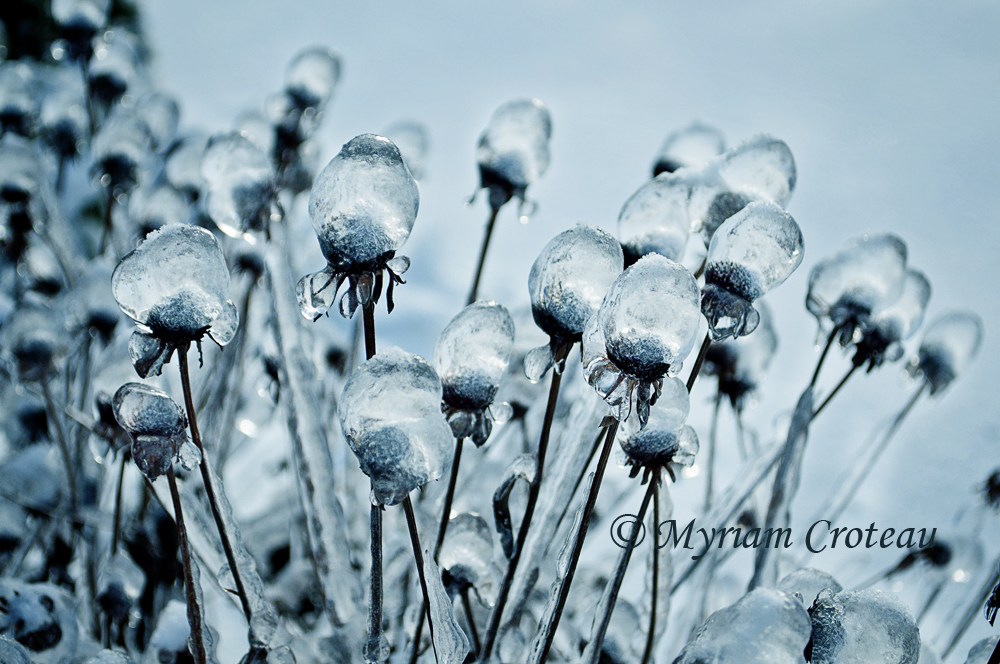 Ice bubbles