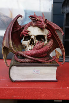 Dragon skull Book LARGER FILE STOCK