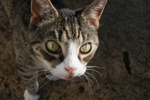 Gotda Love me - Lovie 18 yrs old 1