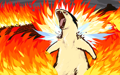 Typhlosion | Blast Burn