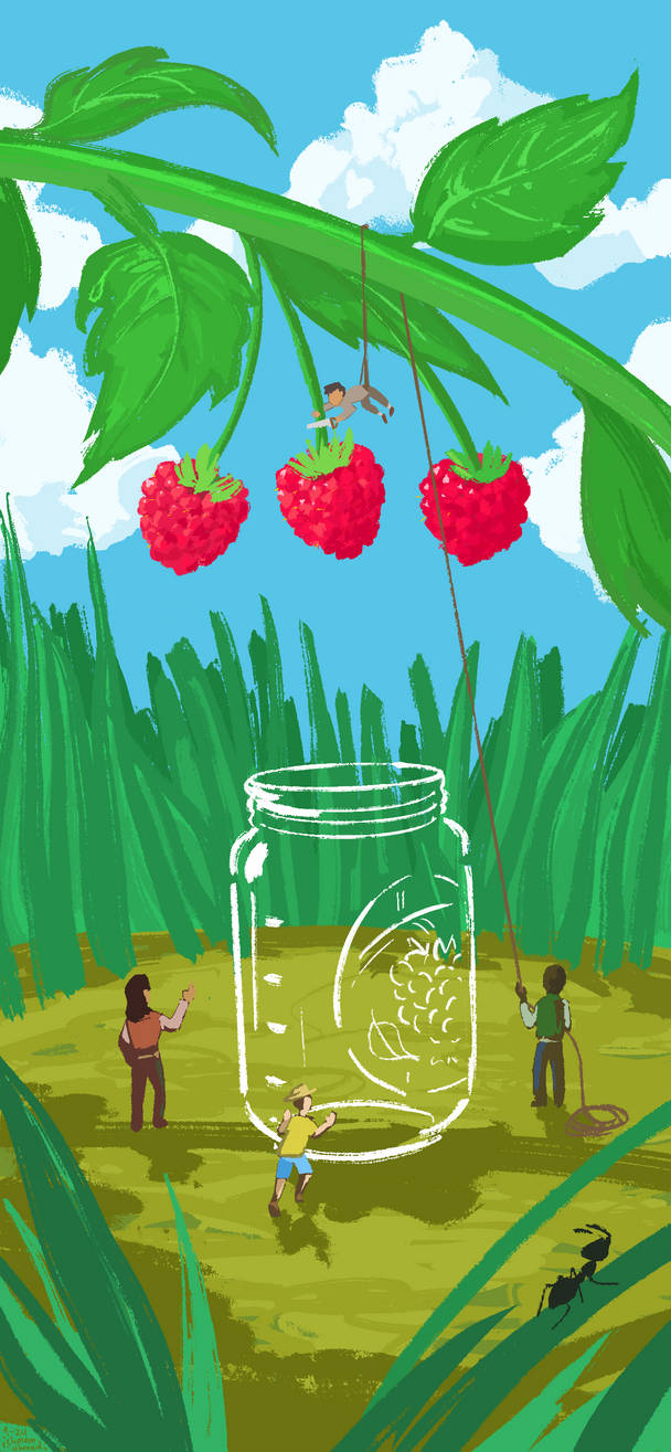 Raspberry Roundup by ishmam on DeviantArt