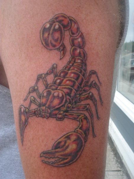 scorpion tatto newfoundland