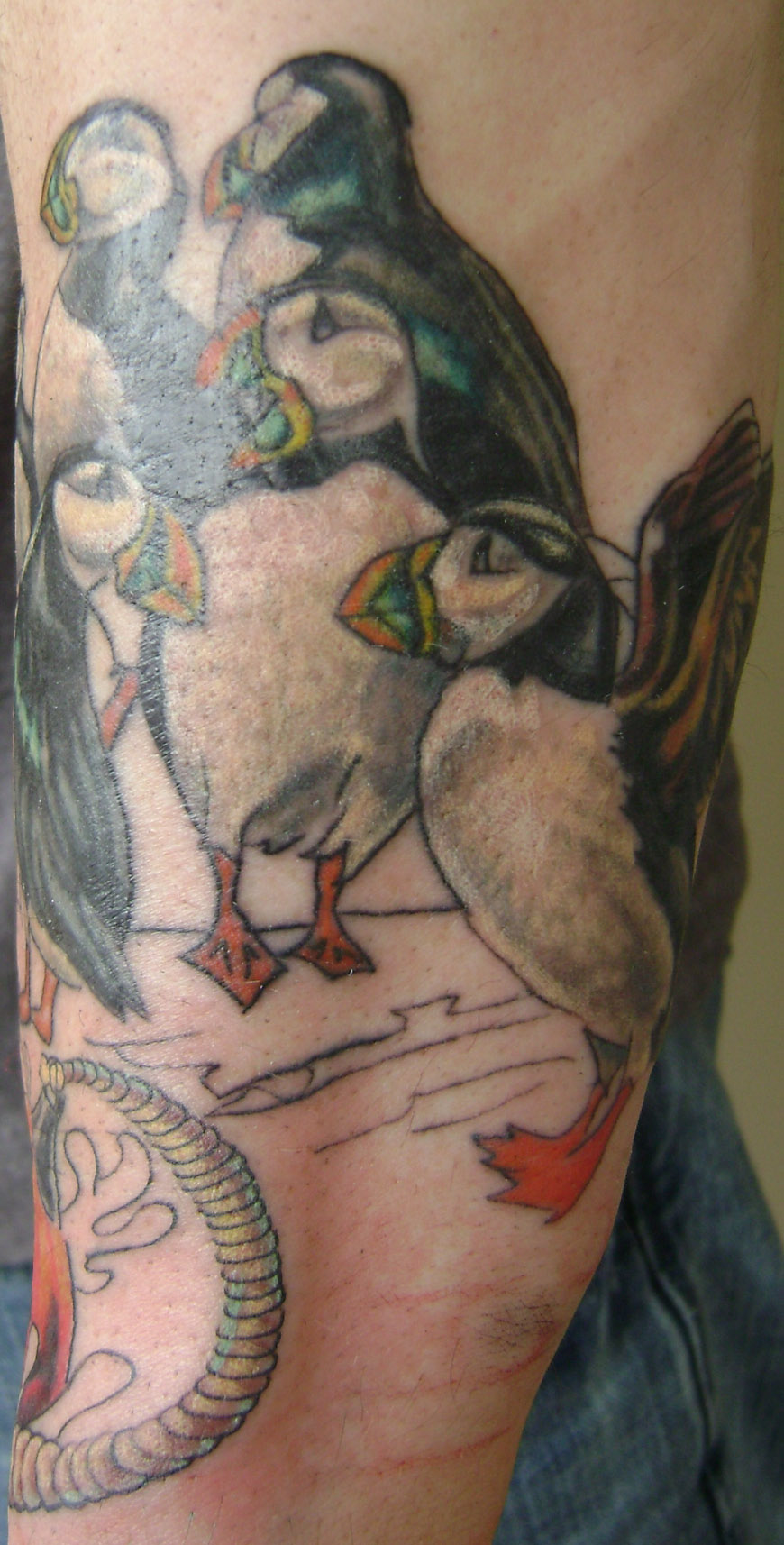 puffin newfie sleeve