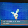 Shiny Minun in ORAS