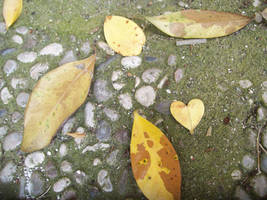 Leaves_in_love