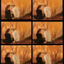 Hp Autumn_Step by Step
