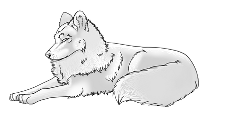 Wolf shaded pice