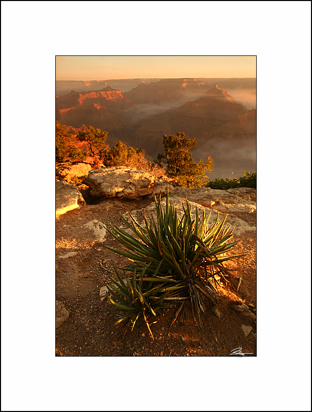 Sunrise, Grand Canyon