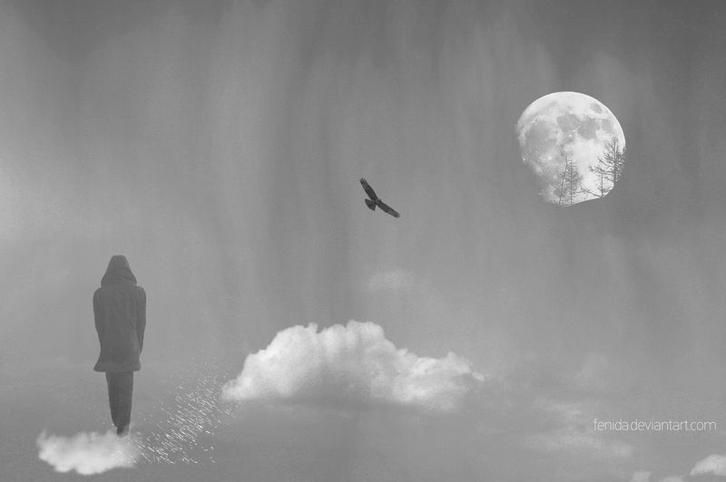 Above the Clouds by fenida