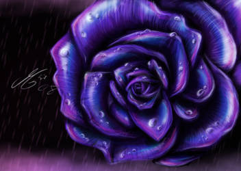 Purple Rose