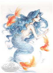 Universe Mermaid