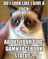 My reaction to Facebook status's.