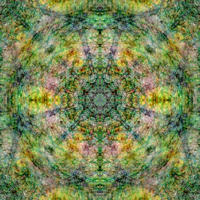 2014#5 Love of a tree by dorock5 2014#5 Love of a tree by dorock5