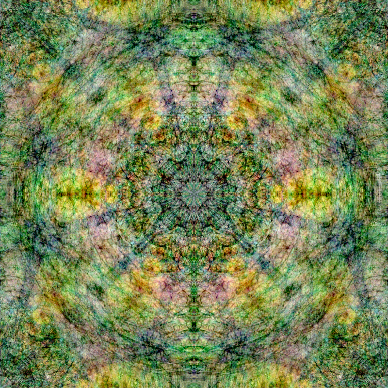 2014#5 Love of a tree by dorock5 2014#5 Love of a tree by dorock5