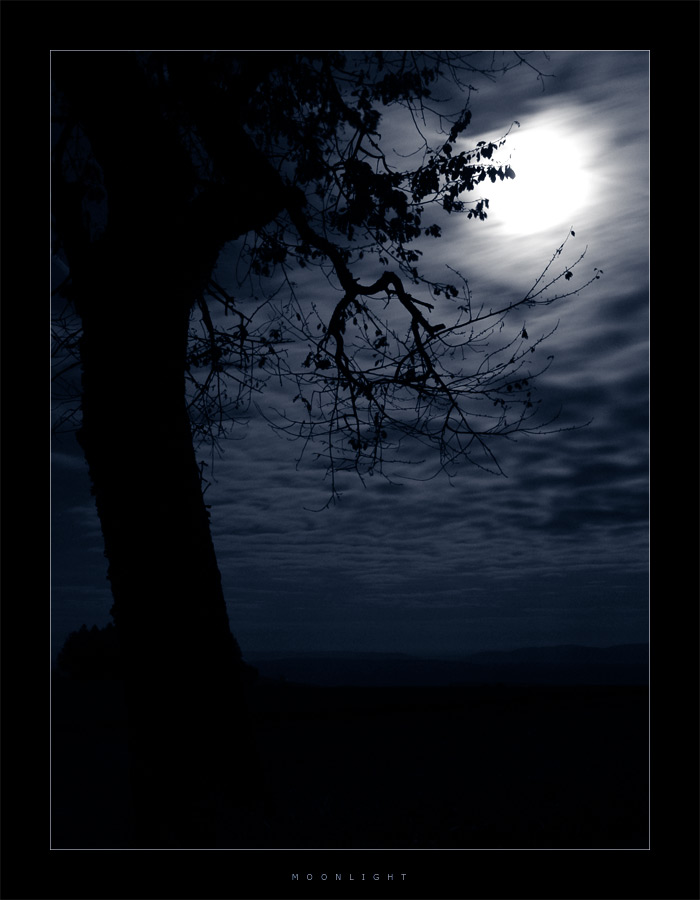 moonlight shadow