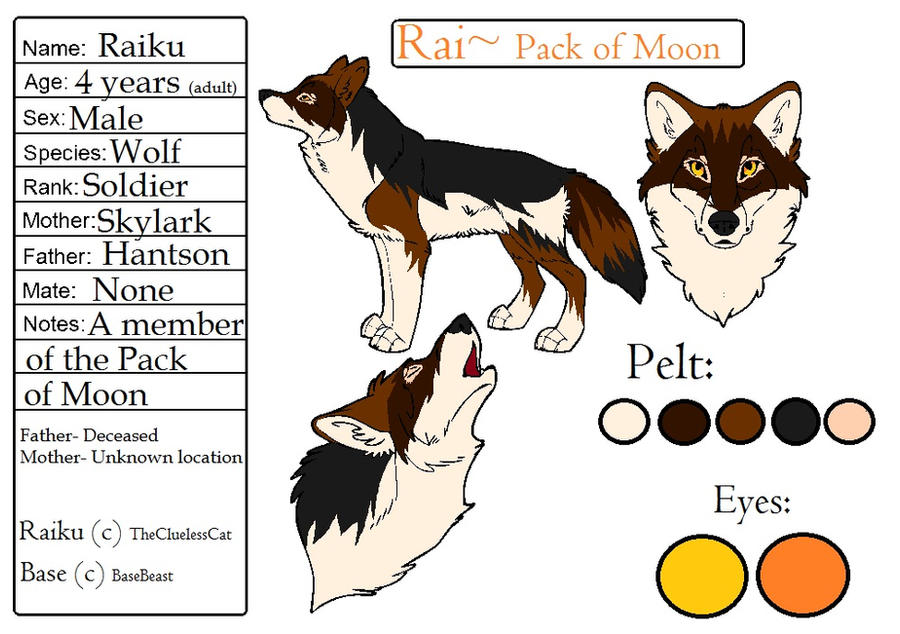 Raiku R306 Raiku by TheCluelessCat on DeviantArt