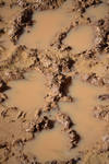 muddy texture