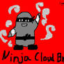 Club Penguin Ninja Cloud Brace