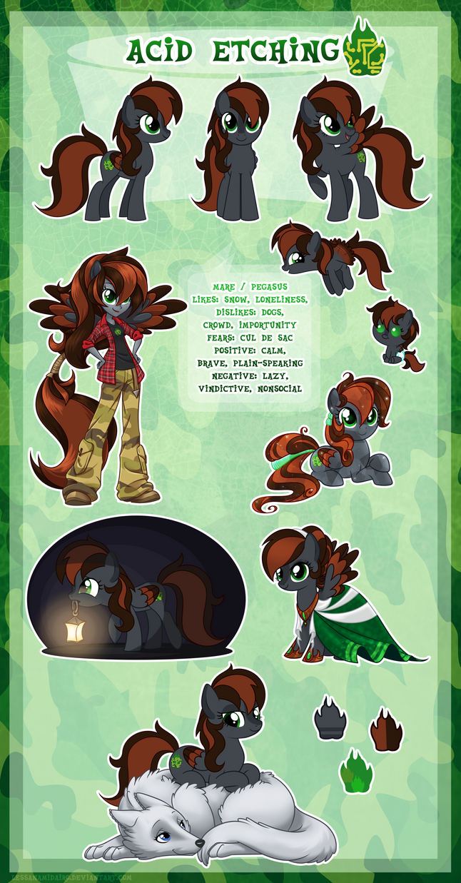 Acidetchings Shell Acid Etching - ultimate reference guide by LessaNamidairo on DeviantArt
