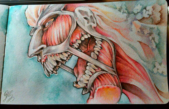 COLOSSAL TITANNNN