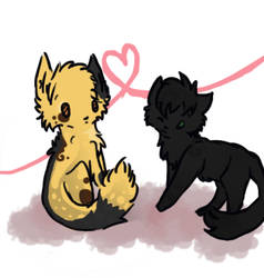 sol x hollyleaf